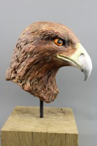 Golden eagle sculpture bust in ceramic clay